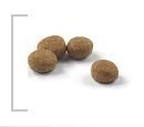 ROYAL CANIN Sterilised 37 2kg Royal Canin ROYAL CANIN Sterilised 37 2kg Royal Canin