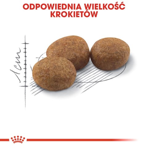 ROYAL CANIN Sterilised 37 4kg Royal Canin ROYAL CANIN Sterilised 37 4kg Royal Canin