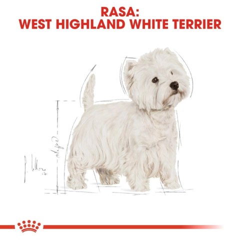 ROYAL CANIN West Highland White Terrier Adult 3kg Royal Canin ROYAL CANIN West Highland White Terrier Adult 3kg Royal Canin