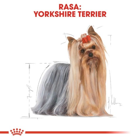ROYAL CANIN Yorkshire Terrier Adult 500g Royal Canin ROYAL CANIN Yorkshire Terrier Adult 500g Royal Canin