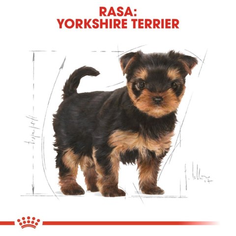 ROYAL CANIN Yorkshire Terrier Puppy 7,5kg Royal Canin ROYAL CANIN Yorkshire Terrier Puppy 7,5kg Royal Canin