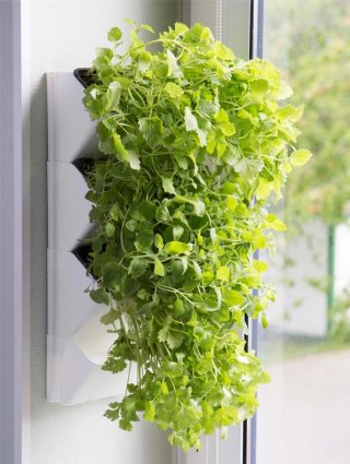 AQUAEL Versa Garden Herbs AQUA EL