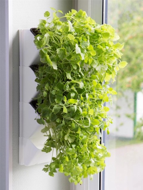 AQUAEL Versa Garden Herbs AQUA EL