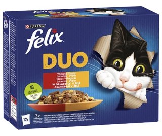 Felix Duo Wiejskie Smaki W Galaretce Z Mięsem 12x85g Felix