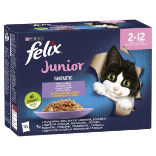 Felix Fantastic Junior W Galaretce 12x85g Felix