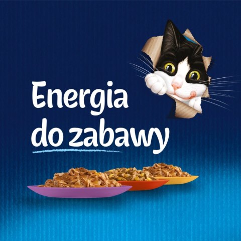 Felix Fantastic Mix Mięsny W Galaretce 44x85g Felix Felix Fantastic Mix Mięsny W Galaretce 44x85g Felix
