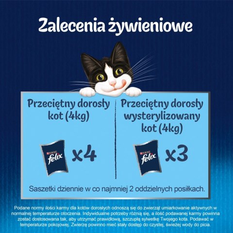 Felix Fantastic Mix Mięsny W Galaretce 44x85g Felix Felix Fantastic Mix Mięsny W Galaretce 44x85g Felix