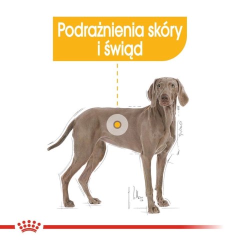 ROYAL CANIN CCN Maxi Dermacomfort 12kg Royal Canin ROYAL CANIN CCN Maxi Dermacomfort 12kg Royal Canin