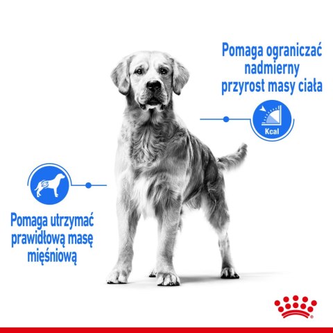 ROYAL CANIN CCN Maxi Light Weight Care 12kg Royal Canin ROYAL CANIN CCN Maxi Light Weight Care 12kg Royal Canin