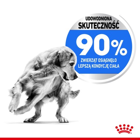 ROYAL CANIN CCN Maxi Light Weight Care 12kg Royal Canin ROYAL CANIN CCN Maxi Light Weight Care 12kg Royal Canin
