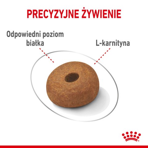ROYAL CANIN CCN Maxi Light Weight Care 12kg Royal Canin ROYAL CANIN CCN Maxi Light Weight Care 12kg Royal Canin
