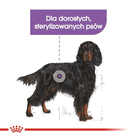 ROYAL CANIN CCN Maxi Sterilised 12kg Royal Canin ROYAL CANIN CCN Maxi Sterilised 12kg Royal Canin