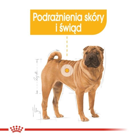 ROYAL CANIN CCN Medium Dermacomfort 12kg Royal Canin ROYAL CANIN CCN Medium Dermacomfort 12kg Royal Canin