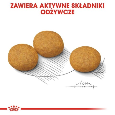 ROYAL CANIN CCN Medium Dermacomfort 12kg Royal Canin ROYAL CANIN CCN Medium Dermacomfort 12kg Royal Canin