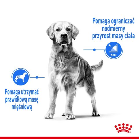 ROYAL CANIN CCN Medium Light Weight Care 12kg Royal Canin ROYAL CANIN CCN Medium Light Weight Care 12kg Royal Canin