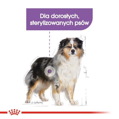 ROYAL CANIN CCN Medium Sterilised 12kg Royal Canin ROYAL CANIN CCN Medium Sterilised 12kg Royal Canin