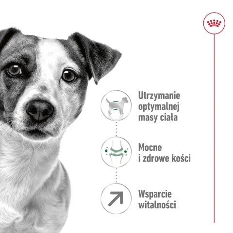 ROYAL CANIN Mini Adult +8 8kg Royal Canin ROYAL CANIN Mini Adult +8 8kg Royal Canin