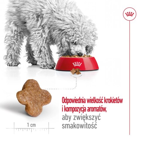 ROYAL CANIN Mini Adult +8 8kg Royal Canin ROYAL CANIN Mini Adult +8 8kg Royal Canin