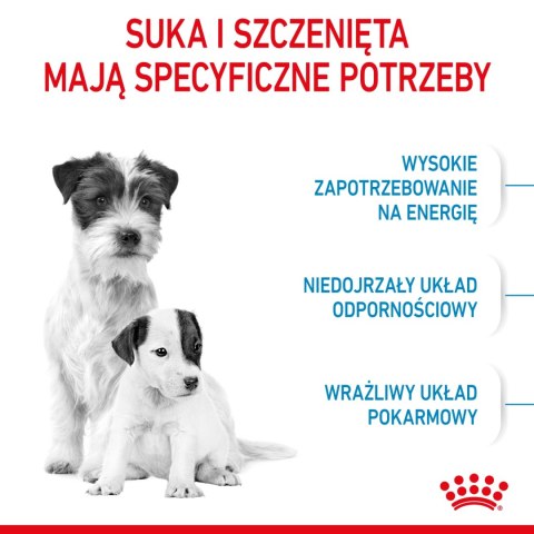 ROYAL CANIN Mini Starter Mother & Babydog 8kg Royal Canin ROYAL CANIN Mini Starter Mother & Babydog 8kg Royal Canin
