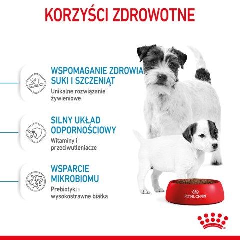 ROYAL CANIN Mini Starter Mother & Babydog 8kg Royal Canin ROYAL CANIN Mini Starter Mother & Babydog 8kg Royal Canin