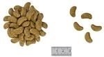 ROYAL CANIN Renal Select Canine 10kg Royal Canin weterynaria ROYAL CANIN Renal Select Canine 10kg Royal Canin weterynaria
