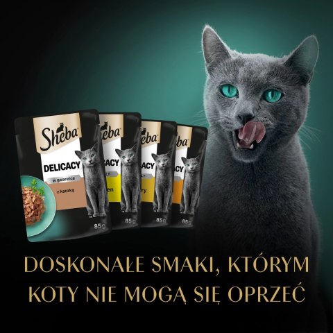 Sheba Delicacy Drobiowe Smaki W Galaretce, Z Kaczką, Z Kurczakiem, Z Drobiem, Z Indykiem 80x85g Sheba Sheba Delicacy Drobiowe Smaki W Galaretce, Z Kaczką, Z Kurczakiem, Z Drobiem, Z Indykiem 80x85g Sheba