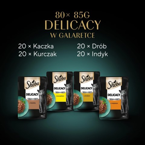 Sheba Delicacy Drobiowe Smaki W Galaretce, Z Kaczką, Z Kurczakiem, Z Drobiem, Z Indykiem 80x85g Sheba Sheba Delicacy Drobiowe Smaki W Galaretce, Z Kaczką, Z Kurczakiem, Z Drobiem, Z Indykiem 80x85g Sheba