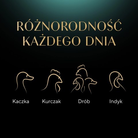 Sheba Delicacy Drobiowe Smaki W Galaretce, Z Kaczką, Z Kurczakiem, Z Drobiem, Z Indykiem 80x85g Sheba Sheba Delicacy Drobiowe Smaki W Galaretce, Z Kaczką, Z Kurczakiem, Z Drobiem, Z Indykiem 80x85g Sheba