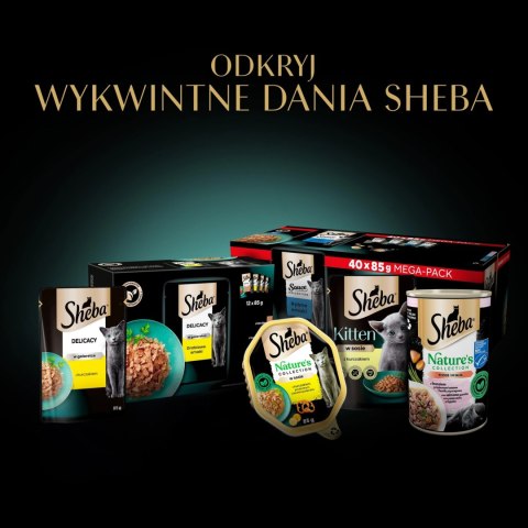 Sheba Delicacy Drobiowe Smaki W Galaretce, Z Kaczką, Z Kurczakiem, Z Drobiem, Z Indykiem 80x85g Sheba Sheba Delicacy Drobiowe Smaki W Galaretce, Z Kaczką, Z Kurczakiem, Z Drobiem, Z Indykiem 80x85g Sheba