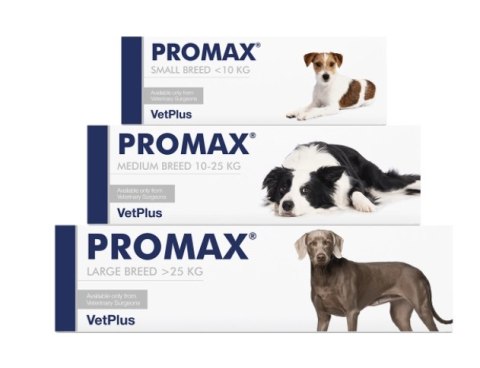 VETPLUS LIMITED Promax Probiotyk Dla Psów Średnich Ras 18ml Vet Plus Limited VETPLUS LIMITED Promax Probiotyk Dla Psów Średnich Ras 18ml Vet Plus Limited