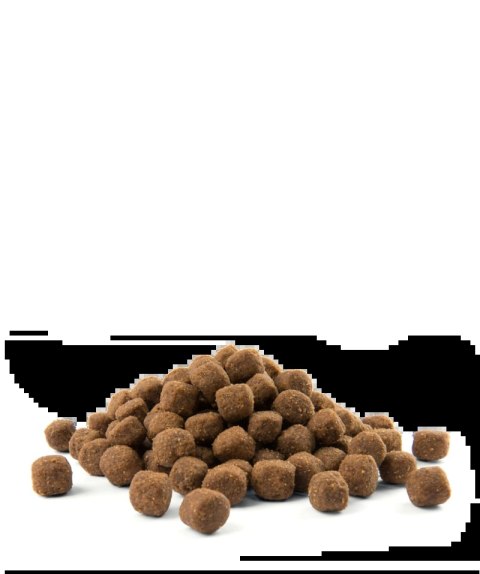 Versele-Laga Opti Life Adult Medium Z Kurczakiem I Ryżem 12,5kg Versele-Laga Versele-Laga Opti Life Adult Medium Z Kurczakiem I Ryżem 12,5kg Versele-Laga