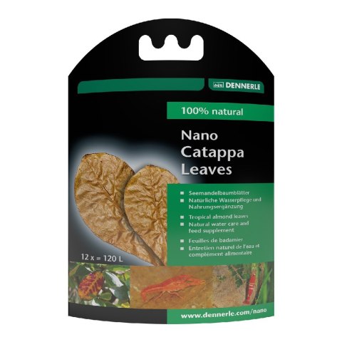 DENNERLE liście migdałów morskich Liście Nano Catappa, 12 szt. (5916) DENNERLE liście migdałów morskich Liście Nano Catappa, 12 szt. (5916)