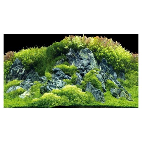 HOBBY Tło do akwarium Planted River/Green Rocks 120x50 (31045) HOBBY Tło do akwarium Planted River/Green Rocks 120x50 (31045)
