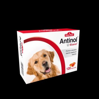 BIOVICO ANTINOL SIZAROL PIES 120 tabletek NA STAWY Biovico