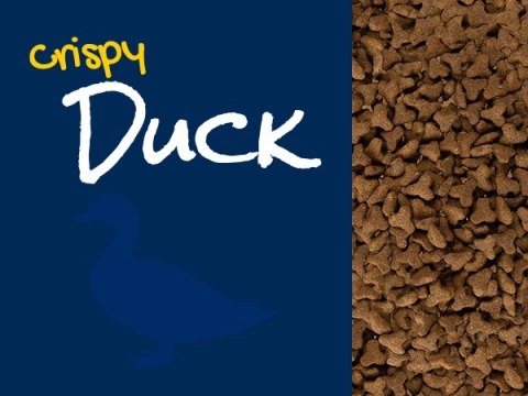JosiCat Josera Crispy Duck 650g JosiCat JosiCat Josera Crispy Duck 650g JosiCat