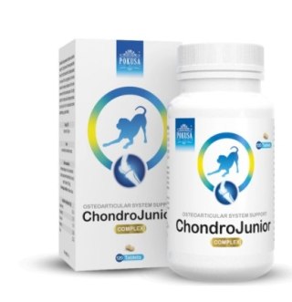 POKUSA ChondroLine ChondroJunior 120 tab. POKUSA FOR HEALTH