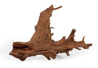 Korzeń MANGROWIEC XL Happet 100 cm