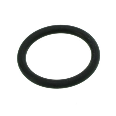EHEIM uszczelka wlotu do 2250/2260/3455/3465/3480/3481 (7269300) EHEIM EHEIM uszczelka wlotu do 2250/2260/3455/3465/3480/3481 (7269300) EHEIM