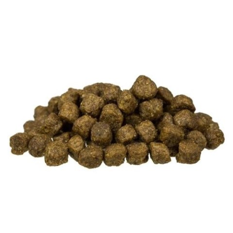 BOSCH Senior 1kg Bosch BOSCH Senior 1kg Bosch