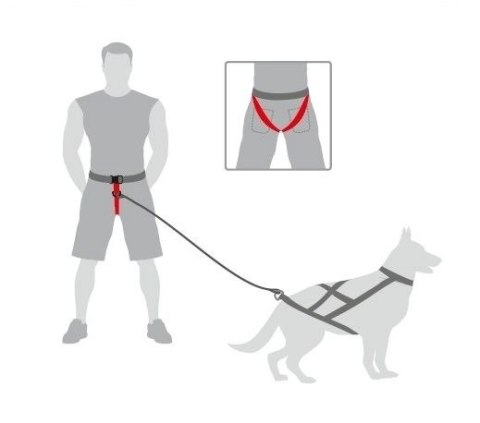 Dingo Pas Do Biegania Z Psem Obwód Do 120cm Dingo Dingo Pas Do Biegania Z Psem Obwód Do 120cm Dingo
