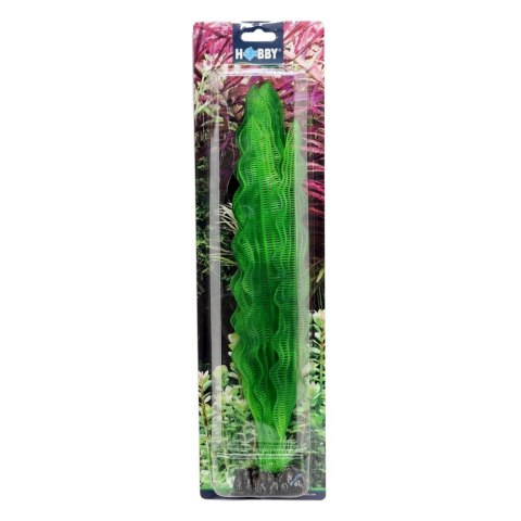 HOBBY Sztuczna roślina akwariowa Aponogeton 40 cm, s.s. (51579) HOBBY Sztuczna roślina akwariowa Aponogeton 40 cm, s.s. (51579)