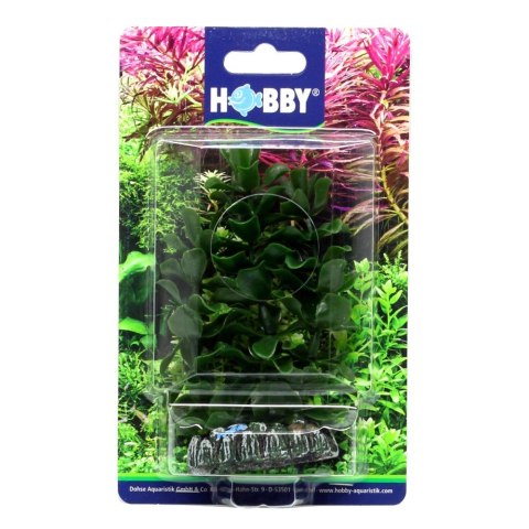 HOBBY Sztuczna roślina akwariowa Bacopa 13cm (51556) HOBBY HOBBY Sztuczna roślina akwariowa Bacopa 13cm (51556) HOBBY
