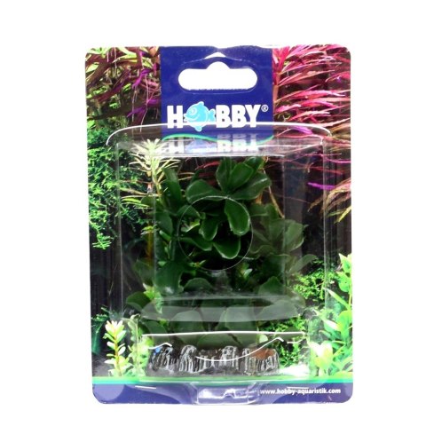 HOBBY Sztuczna roślina akwariowa Bacopa 7cm (51555) HOBBY Sztuczna roślina akwariowa Bacopa 7cm (51555)