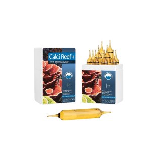 PRODIBIO Calci Reef+ 10 ampułek (PRO726) PRODIBIO