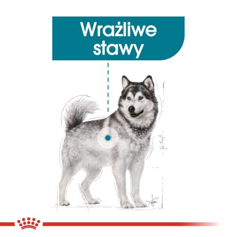 ROYAL CANIN CCN Maxi Joint Care 10kg Royal Canin ROYAL CANIN CCN Maxi Joint Care 10kg Royal Canin