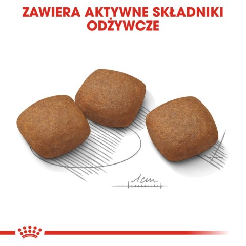 ROYAL CANIN CCN Maxi Joint Care 10kg Royal Canin ROYAL CANIN CCN Maxi Joint Care 10kg Royal Canin