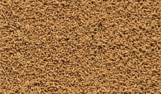 Tetra Pond Sticks 1l TETRA