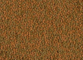 Tetra Wafer Mini Mix 100ml TETRA
