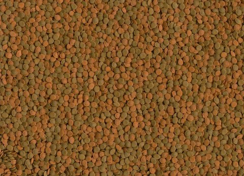 Tetra Wafer Mini Mix 100ml TETRA Tetra Wafer Mini Mix 100ml TETRA
