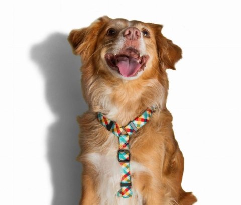 ZEE DOG Szelki H Phantom XS ZeeDog ZEE DOG Szelki H Phantom XS ZeeDog